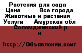 Растения для сада › Цена ­ 200 - Все города Животные и растения » Услуги   . Амурская обл.,Селемджинский р-н